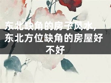 东北缺角的房子风水,东北方位缺角的房屋好不好