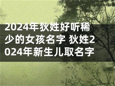 2024年狄姓好听稀少的女孩名字 狄姓2024年新生儿取名字