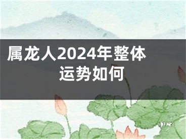 属龙人2024年整体运势如何