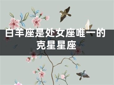 白羊座是处女座唯一的克星星座