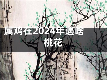 属鸡在2024年遇啥桃花
