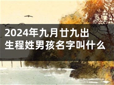 2024年九月廿九出生程姓男孩名字叫什么