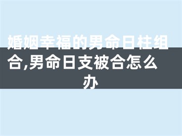 婚姻幸福的男命日柱组合,男命日支被合怎么办