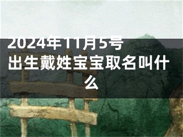 2024年11月5号出生戴姓宝宝取名叫什么