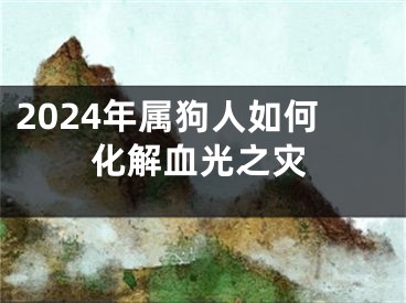 2024年属狗人如何化解血光之灾