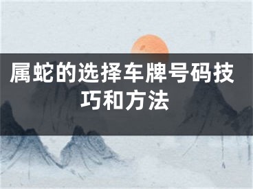 属蛇的选择车牌号码技巧和方法
