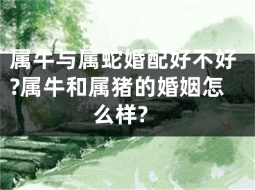 属牛与属蛇婚配好不好?属牛和属猪的婚姻怎么样?