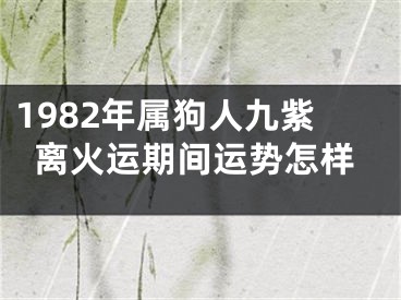 1982年属狗人九紫离火运期间运势怎样