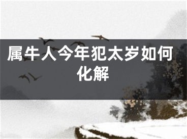 属牛人今年犯太岁如何化解