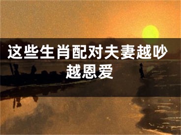 这些生肖配对夫妻越吵越恩爱
