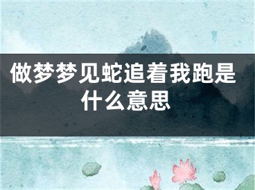 做梦梦见蛇追着我跑是什么意思