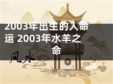 2003年出生的人命运 2003年水羊之命