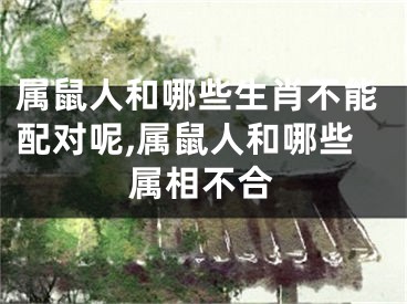 属鼠人和哪些生肖不能配对呢,属鼠人和哪些属相不合