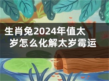 生肖兔2024年值太岁怎么化解太岁霉运