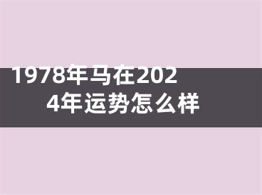 1978年马在2024年运势怎么样