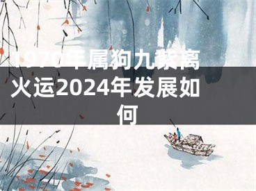 1970年属狗九紫离火运2024年发展如何