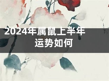 2024年属鼠上半年运势如何