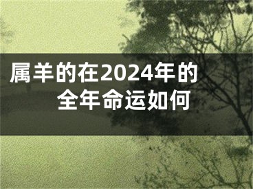 属羊的在2024年的全年命运如何