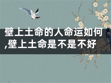 壁上土命的人命运如何,壁上土命是不是不好