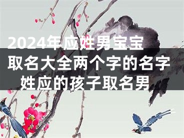 2024年应姓男宝宝取名大全两个字的名字 姓应的孩子取名男