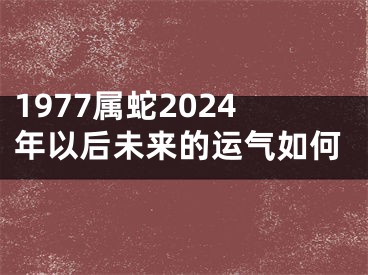 1977属蛇2024年以后未来的运气如何