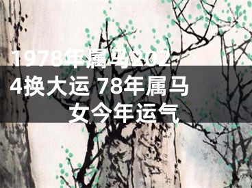 1978年属马2024换大运 78年属马女今年运气