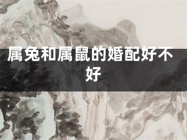 属兔和属鼠的婚配好不好