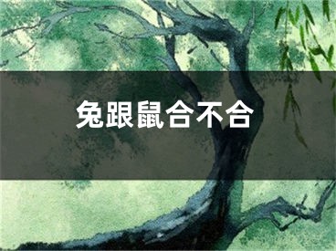 兔跟鼠合不合