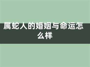 属蛇人的婚姻与命运怎么样