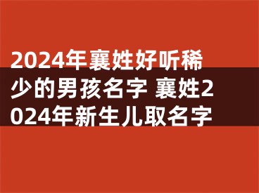 2024年襄姓好听稀少的男孩名字 襄姓2024年新生儿取名字