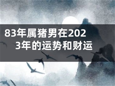 83年属猪男在2023年的运势和财运