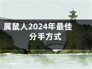 属鼠人2024年最佳分手方式