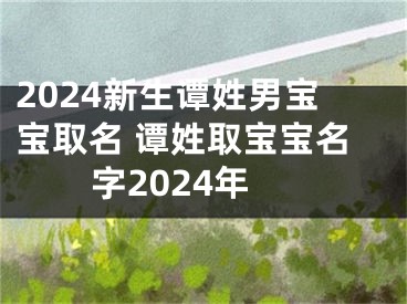 2024新生谭姓男宝宝取名 谭姓取宝宝名字2024年