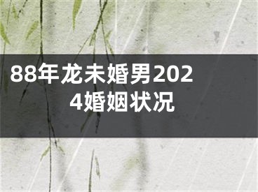 88年龙未婚男2024婚姻状况