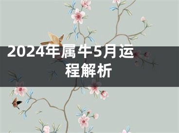 2024年属牛5月运程解析