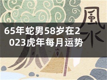 65年蛇男58岁在2023虎年每月运势