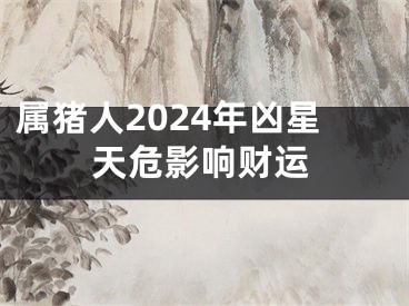属猪人2024年凶星天危影响财运