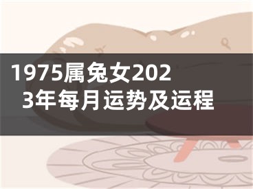 1975属兔女2023年每月运势及运程
