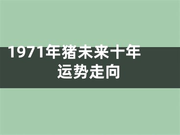 1971年猪未来十年运势走向