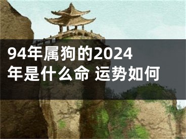 94年属狗的2024年是什么命 运势如何