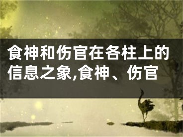 食神和伤官在各柱上的信息之象,食神、伤官