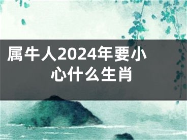 属牛人2024年要小心什么生肖