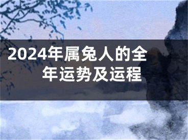 2024年属兔人的全年运势及运程