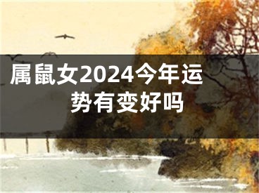 属鼠女2024今年运势有变好吗