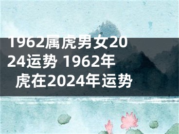 1962属虎男女2024运势 1962年虎在2024年运势
