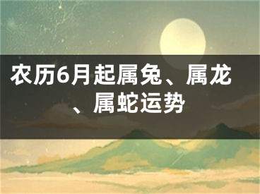 农历6月起属兔、属龙、属蛇运势