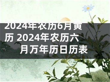 2024年农历6月黄历 2024年农历六月万年历日历表