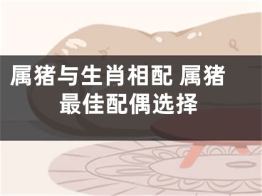 属猪与生肖相配 属猪最佳配偶选择