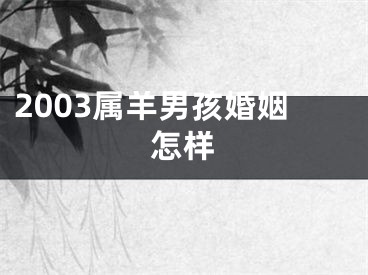 2003属羊男孩婚姻怎样