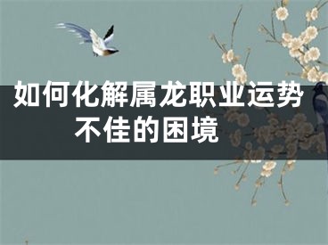 如何化解属龙职业运势不佳的困境 